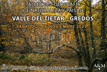 Taller de Fotografía de Naturaleza y Paisajes de otoño